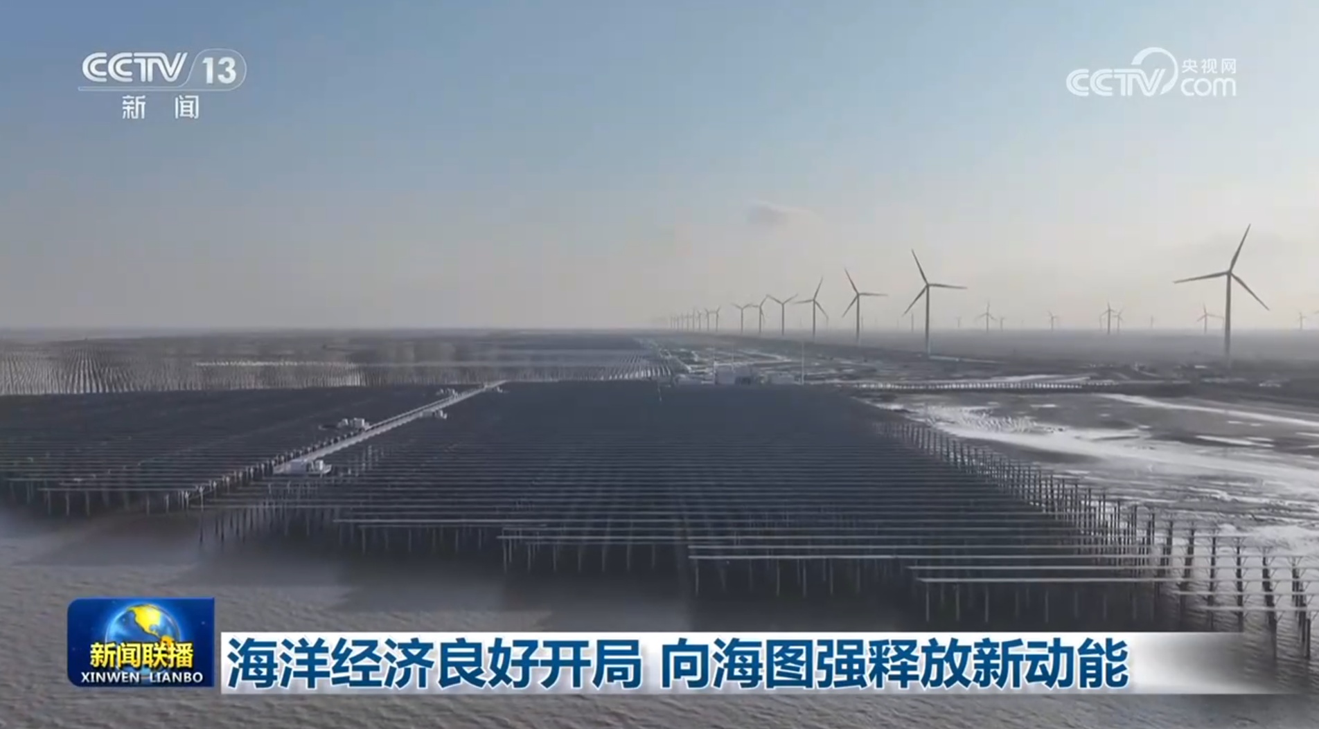 海洋经济良好开局 向海图强释放新动能