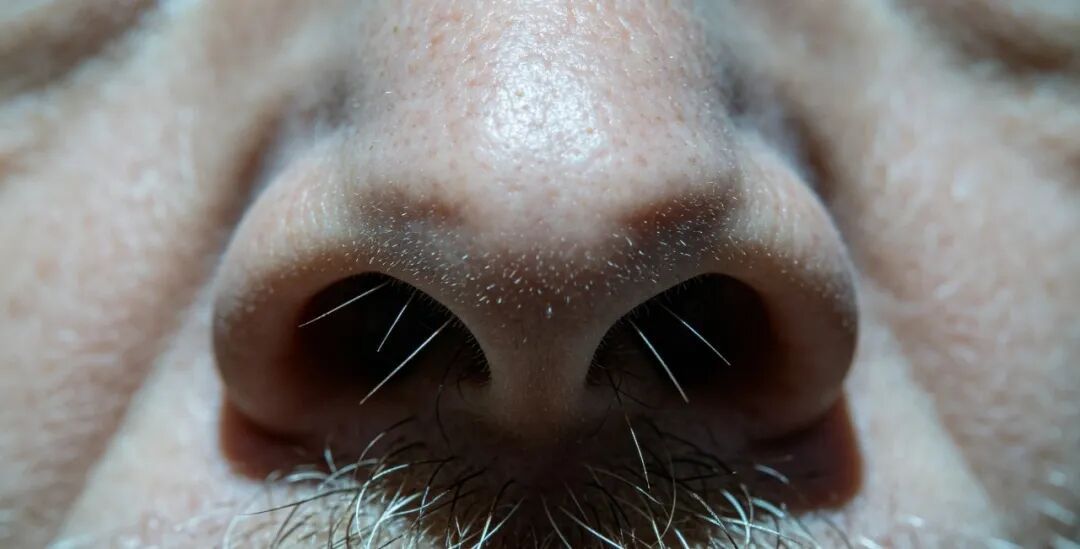窜出来的鼻毛，可以拔掉吗?
