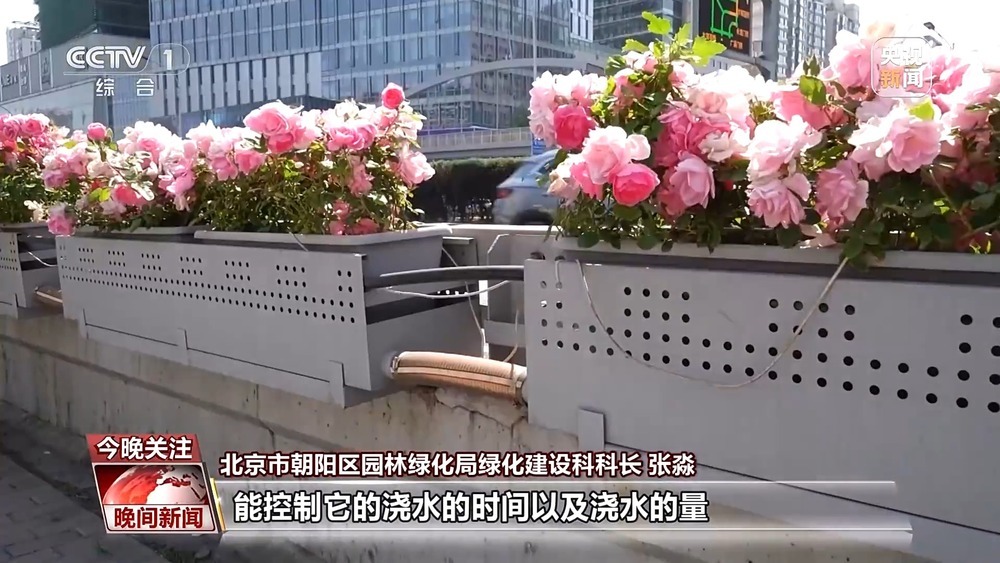 遇见“一路繁花” 多地赏花经济活力旺