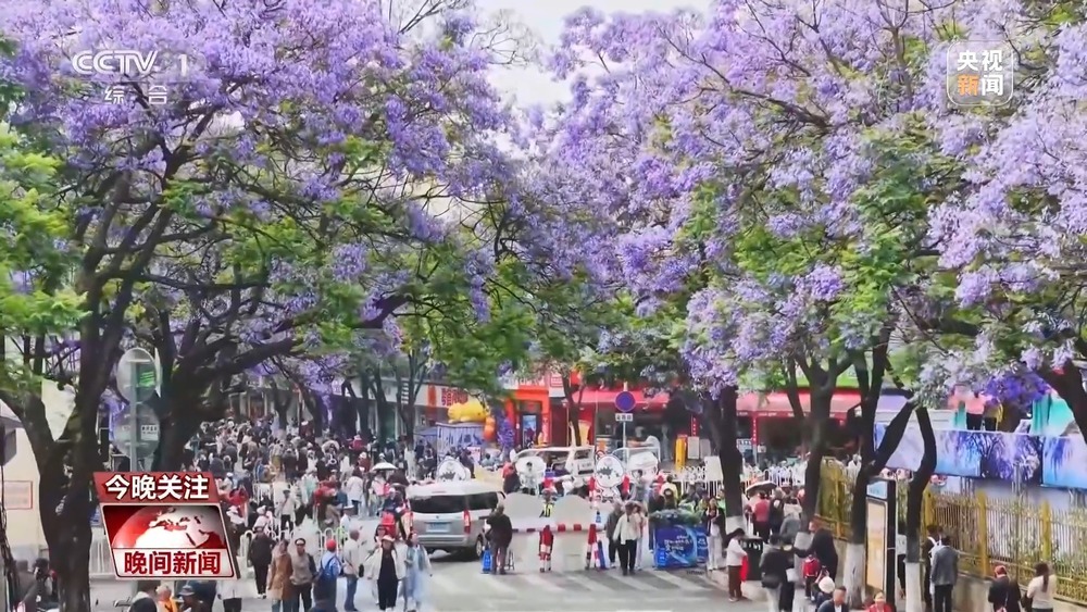 遇见“一路繁花” 多地赏花经济活力旺