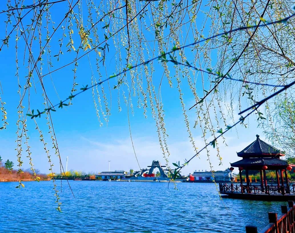 5月19日，河南多家景区免门票！