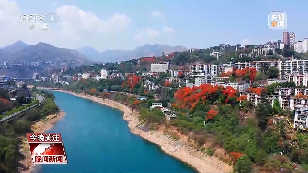 遇见“一路繁花” 多地赏花经济活力旺