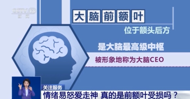情绪易怒、爱走神是前额叶受损吗？如何科学改善？专家解读