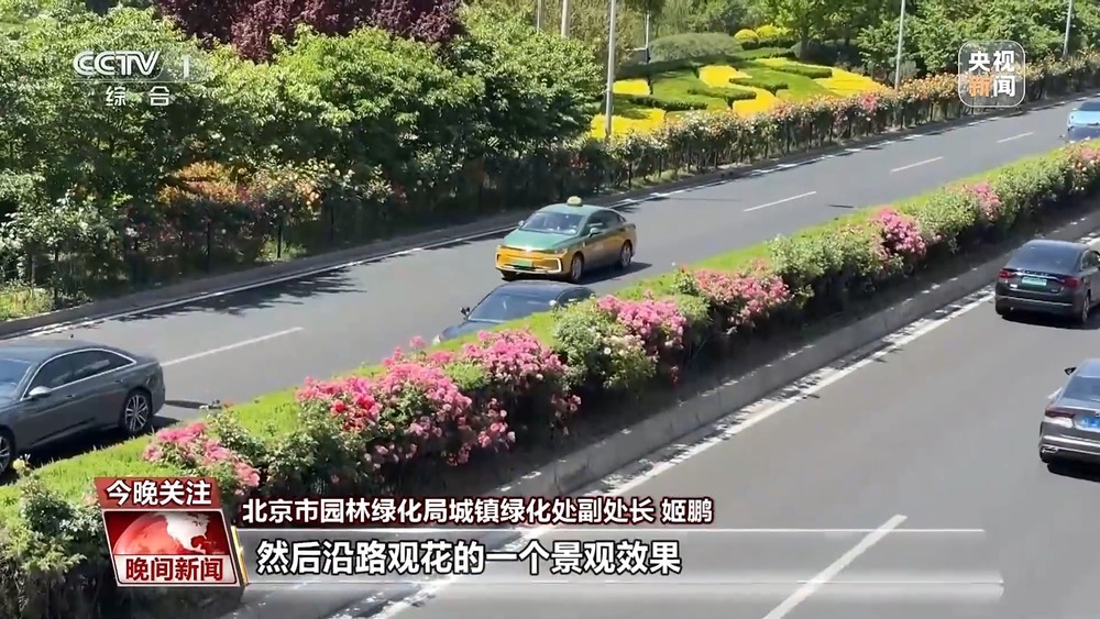 遇见“一路繁花” 多地赏花经济活力旺