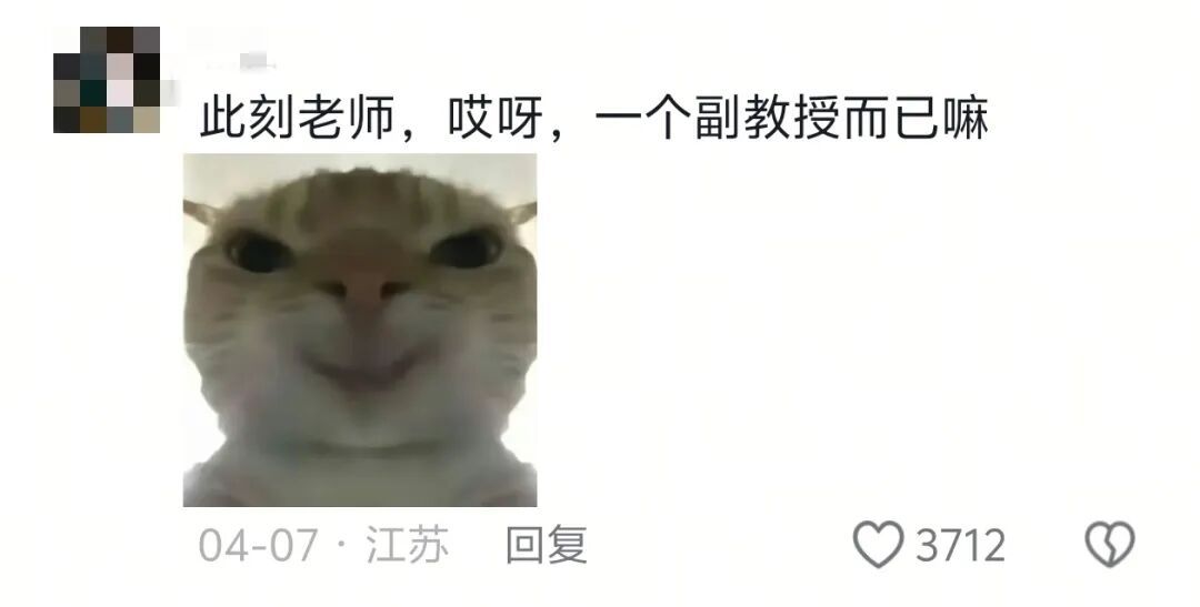 “职称那栏写副教授”“哇~老师您咋恁厉害？”
