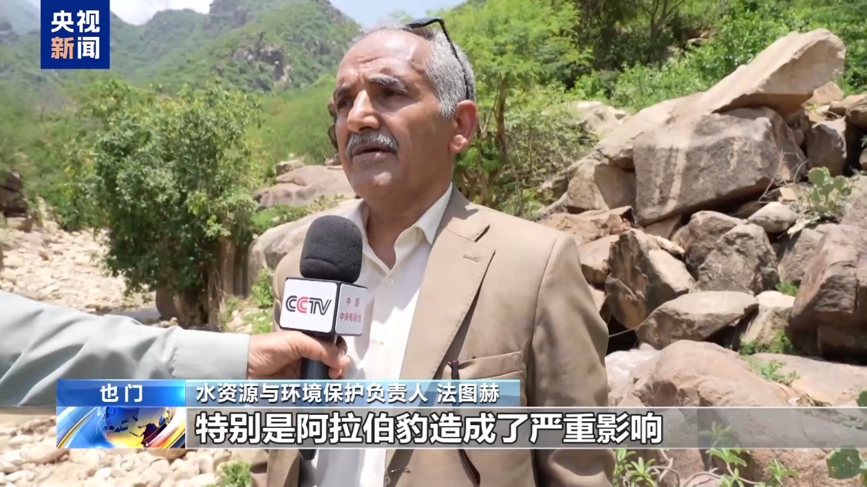 长期战乱加剧也门濒危动物的生存威胁 长期战乱加剧也门濒危动物的生存威胁