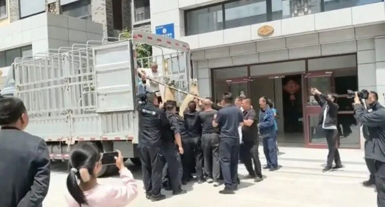 羚牛突闯甘肃天水居民小区，当地林草部门：山里都少见，第一次在市区遇见