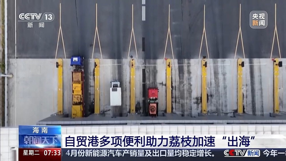 24小时从田间“跑”到货轮 海南荔枝来了场“接力赛”