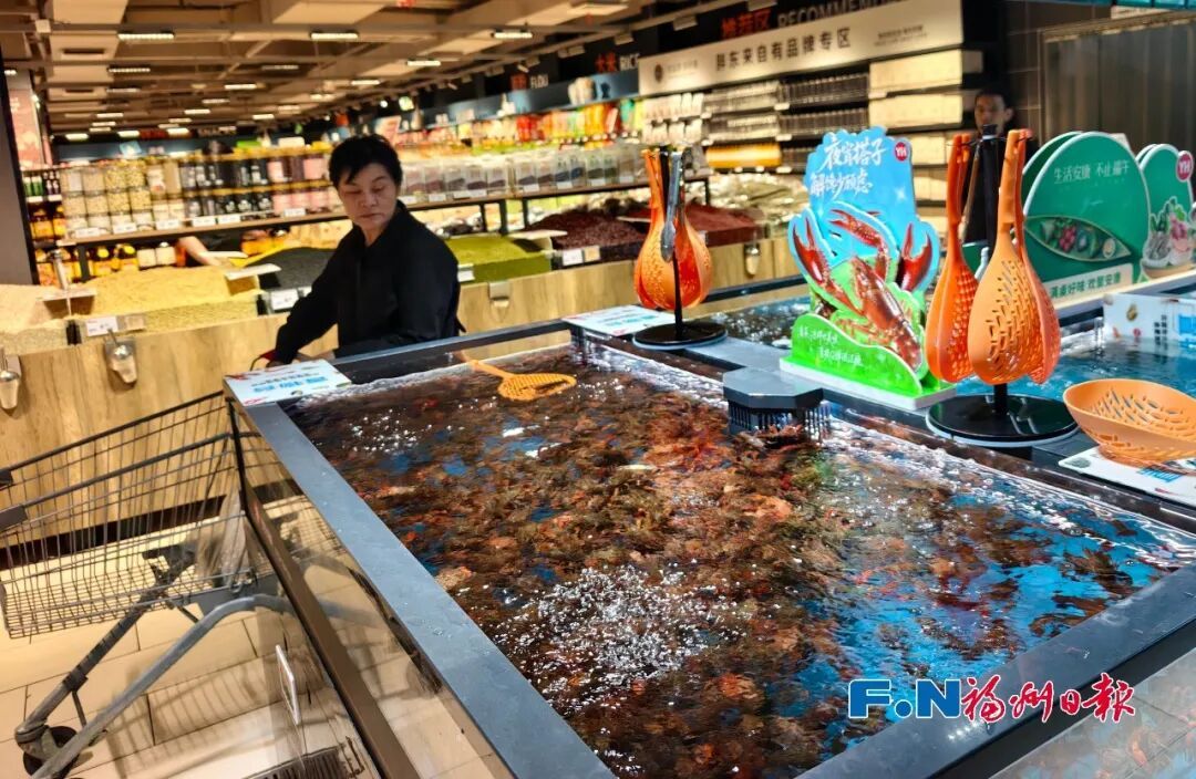 你没看错!69元5斤!福州人的“小龙虾自由”提前来了 你没看错!69元5斤!福州人的“小龙虾自由”提前来了