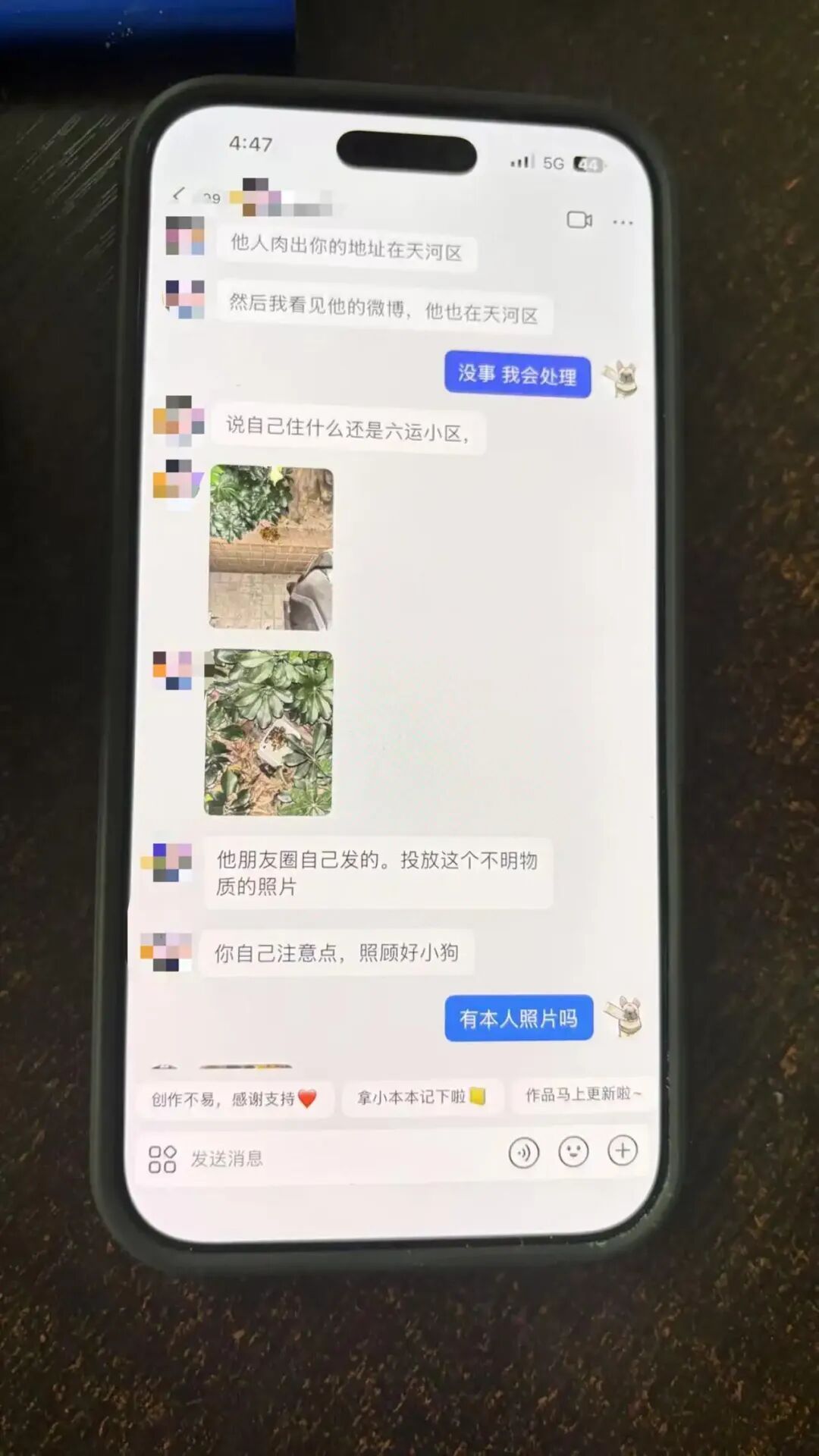 靠捡瓶子赚10万元的小狗，被“毒狗群”盯上！警方已正式介入