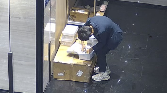 “买真退假”调包52双名牌球鞋，2人均落网