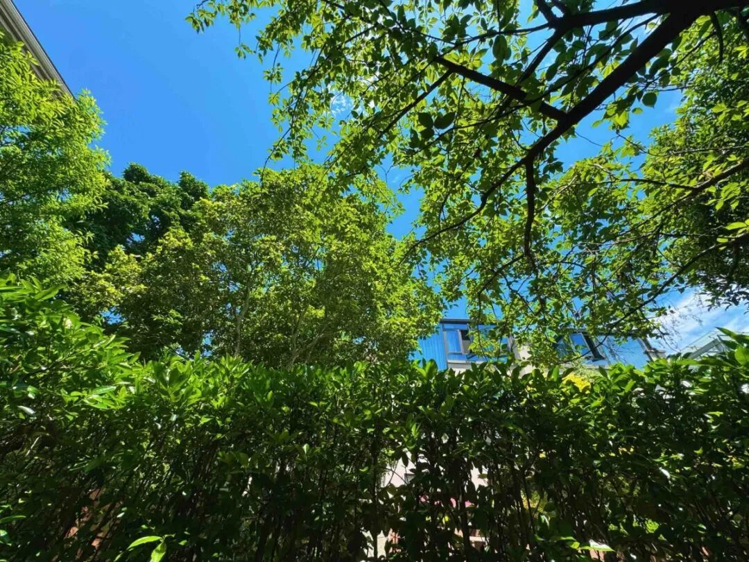 宁波夏季平均时长达125天,将带来哪些考验? 宁波夏季平均时长达125天,将带来哪些考验?