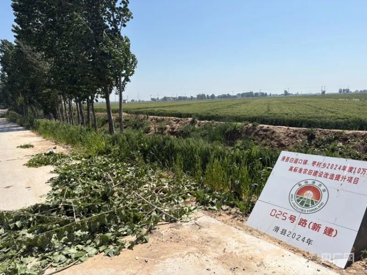 河南一地遭雷暴大风致小麦倒伏!现状如何? 河南一地遭雷暴大风致小麦倒伏!现状如何?
