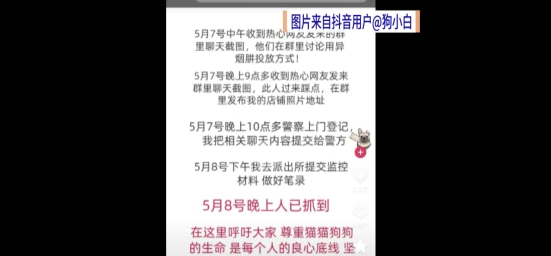 靠捡瓶子赚10万元的小狗，被“毒狗群”盯上！警方已正式介入