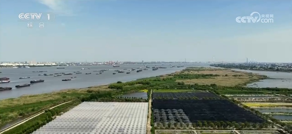 江清岸绿重焕生机 万里长江十年蝶变交出亮丽生态答卷