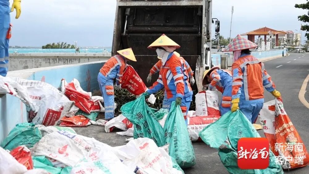 大量腐烂、异味扰民……海口北港岛水葫芦泛滥，专家建议→