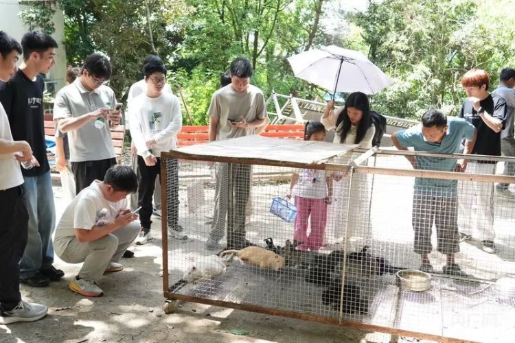 老旧动物园一夜爆火！“00后”夫妻园长：现在得定闹钟早起