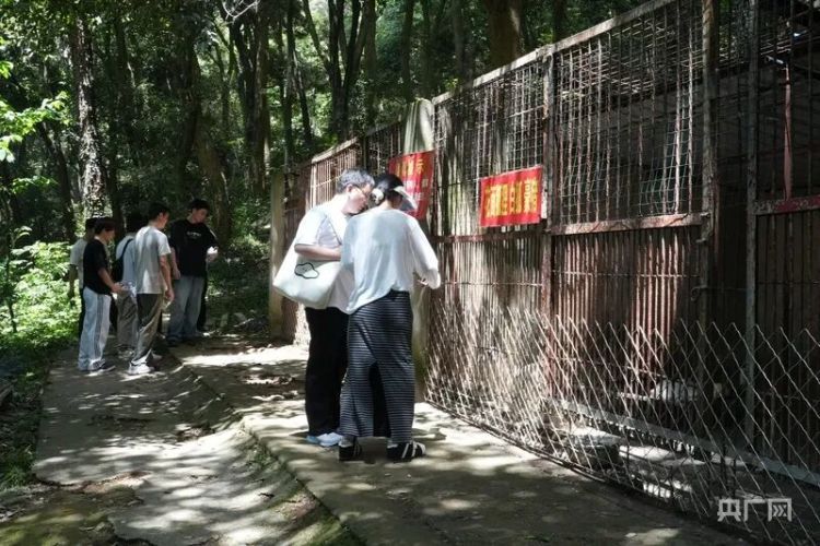 老旧动物园一夜爆火！“00后”夫妻园长：现在得定闹钟早起