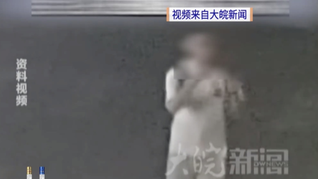 靠捡瓶子赚10万元的小狗，被“毒狗群”盯上！警方已正式介入