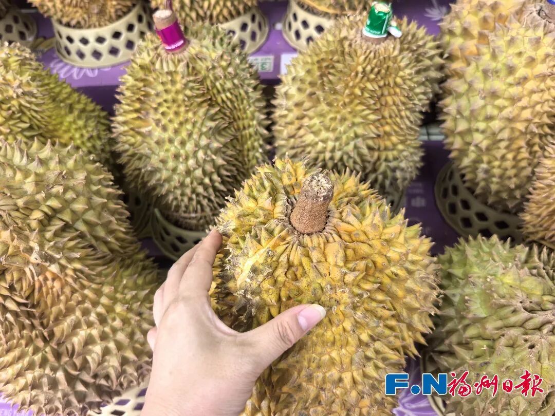 太疯狂!福州榴莲价格大降,有果商一天卖了100吨! 太疯狂!福州榴莲价格大降,有果商一天卖了100吨!