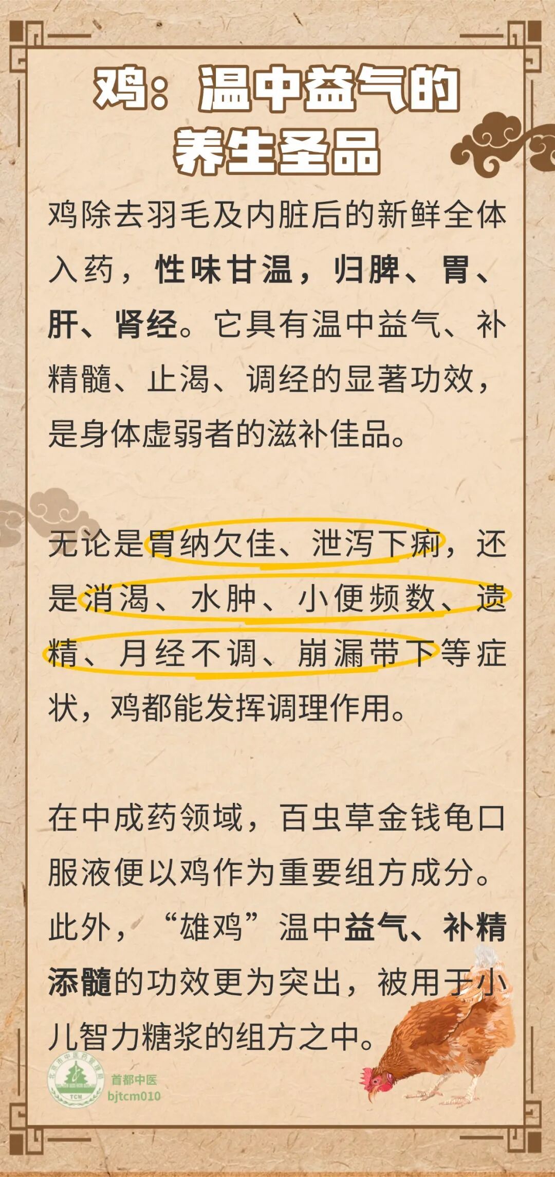 怎么吃鸡有讲究，这样吃鸡更滋补！