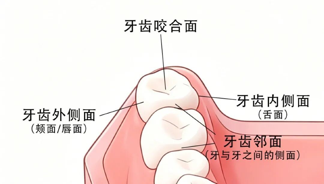 每天1件小事,中风风险直降40%!不是运动,不是吃药,太多人没当回事 每天1件小事,中风风险直降40%!不是运动,不是吃药,太多人没当回事