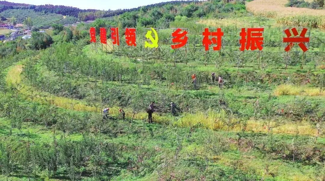 辽宁一地获中央财政补助1.5亿! 辽宁一地获中央财政补助1.5亿!