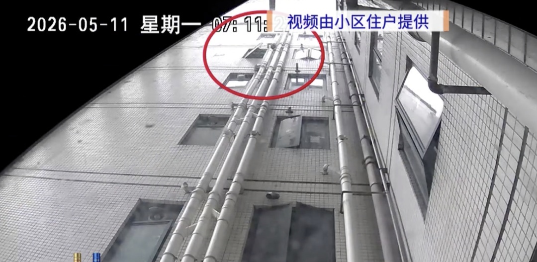广州一小区有人高空抛物扰民多次，居民终于揪出“元凶”！