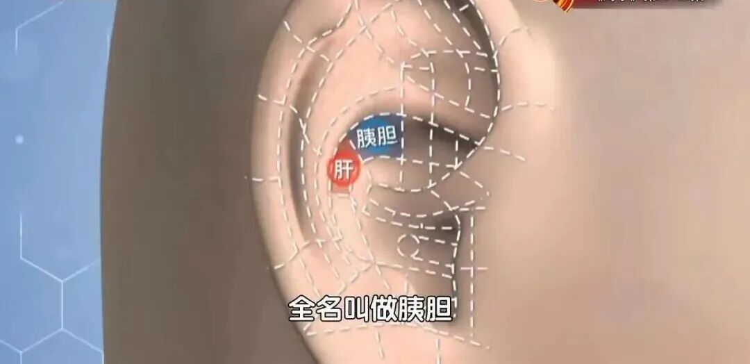 肝好不好，看看耳朵就知道，揉开这3个地方，疏肝气、养肝阴