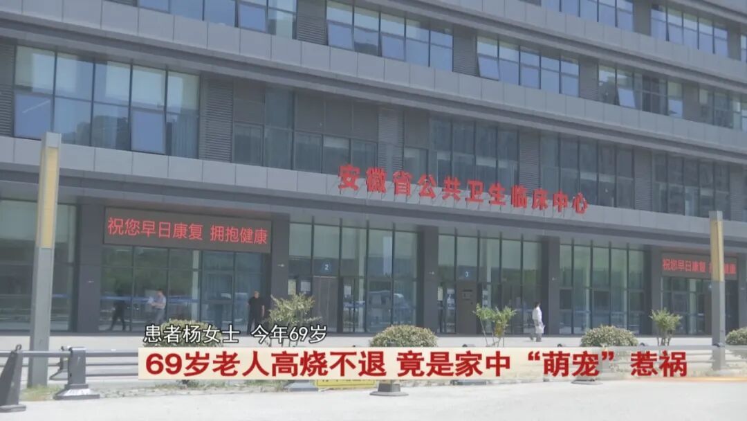 69岁老人高烧不退，竟是家中“萌宠”惹祸！