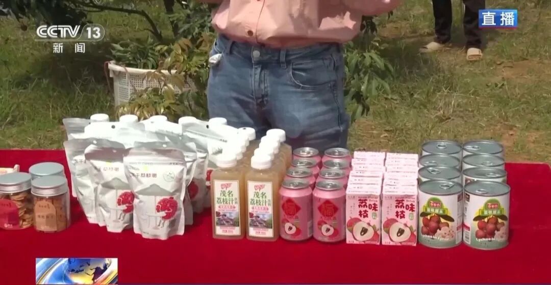 从赏花到收获，广东荔枝开启“认养”模式