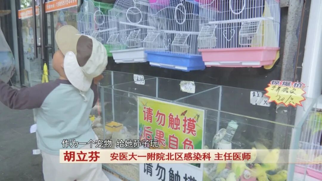 69岁老人高烧不退，竟是家中“萌宠”惹祸！