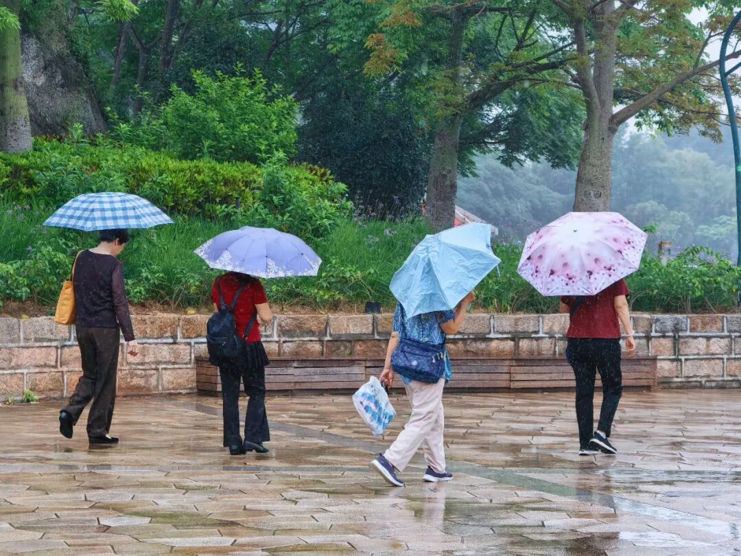 双预警齐发！厦门最强降雨时段将在今日午后！外出注意
