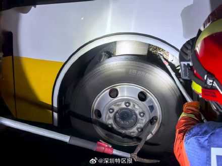 深圳一马路惊现2米巨蟒 ，深圳消防快速处置助其归野