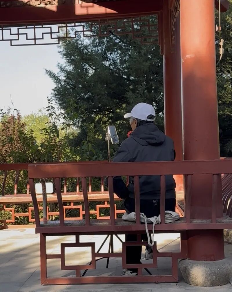 “劝了又来、来了再劝”？同时能有六七处，北京一些公园遇上难题…