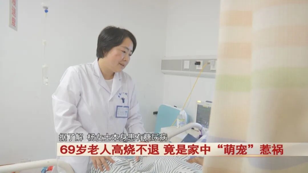 69岁老人高烧不退，竟是家中“萌宠”惹祸！