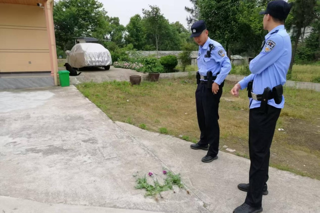 你说要赏花，但没说赏的是罂粟啊