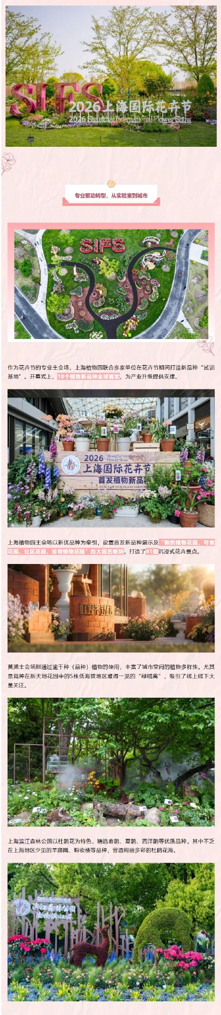 累计客流近3000万！2026上海国际花卉节落幕