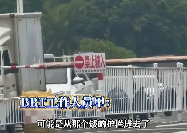 厦门一电动车误闯BRT高架桥，公交车被堵排长队