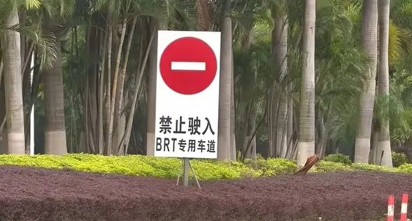 厦门一电动车误闯BRT高架桥，公交车被堵排长队