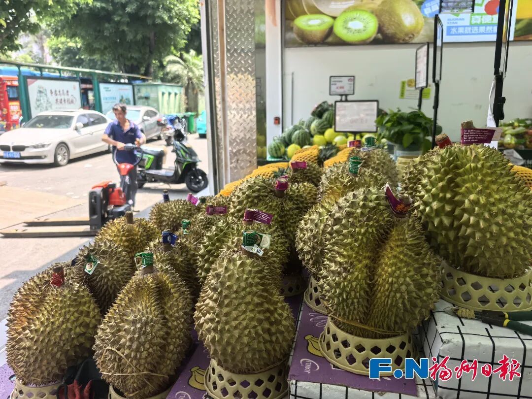 太疯狂!福州榴莲价格大降,有果商一天卖了100吨! 太疯狂!福州榴莲价格大降,有果商一天卖了100吨!