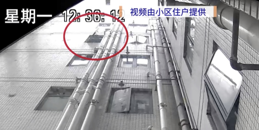 广州一小区有人高空抛物扰民多次，居民终于揪出“元凶”！