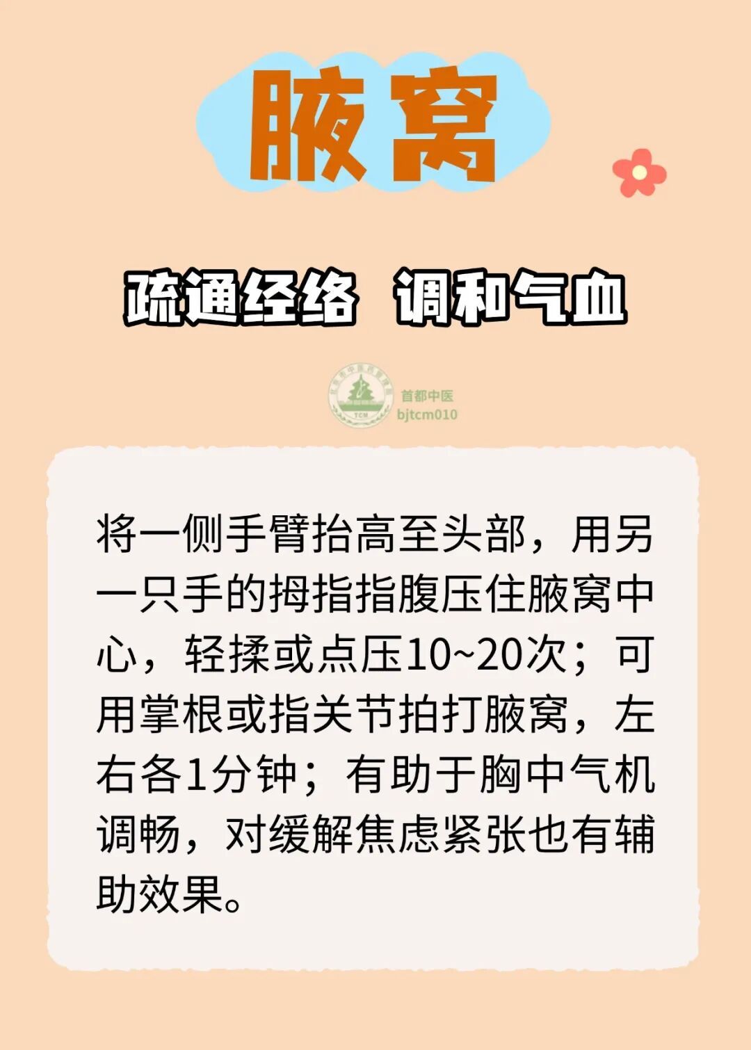 身上藏着5个窝，全是自带的“养生良药”，不会用太可惜！