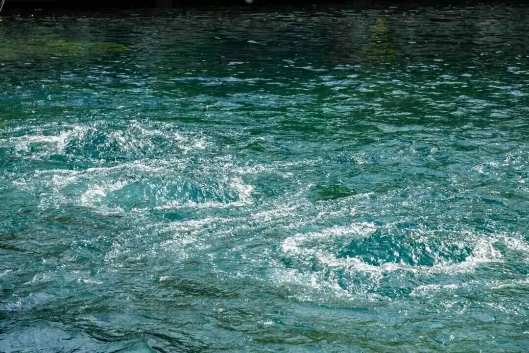 刷新纪录！济南趵突泉地下水位29米+ ，“月牙飞瀑”持续在线249天