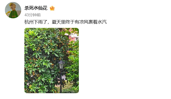 突降暴雨！不少杭州人猝不及防：终于凉快了...