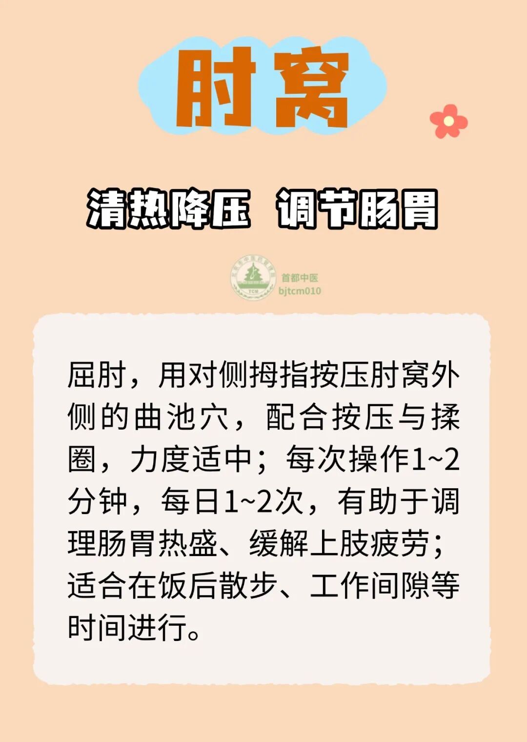 身上藏着5个窝，全是自带的“养生良药”，不会用太可惜！