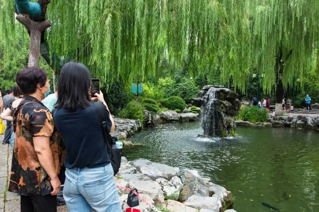 刷新纪录！济南趵突泉地下水位29米+ ，“月牙飞瀑”持续在线249天
