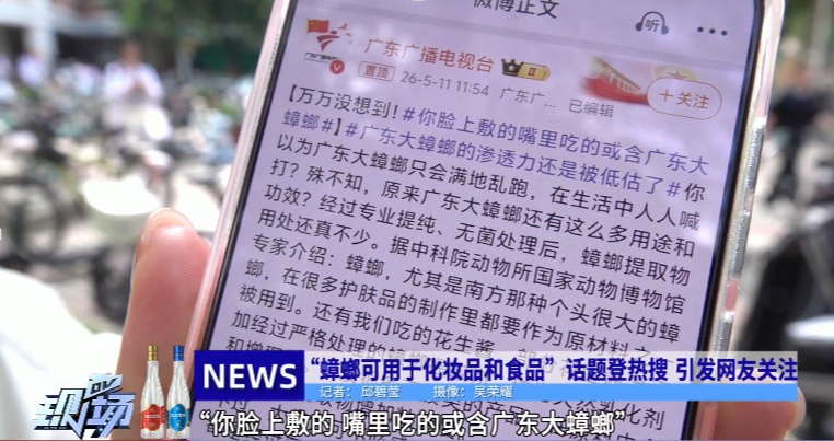 你脸上敷的、嘴里吃的，或含广东大蟑螂！