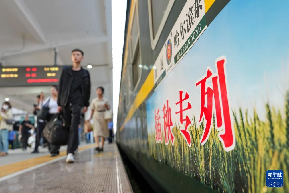 黑龙江：“插秧客”搭乘专列奔赴沃土逐农忙