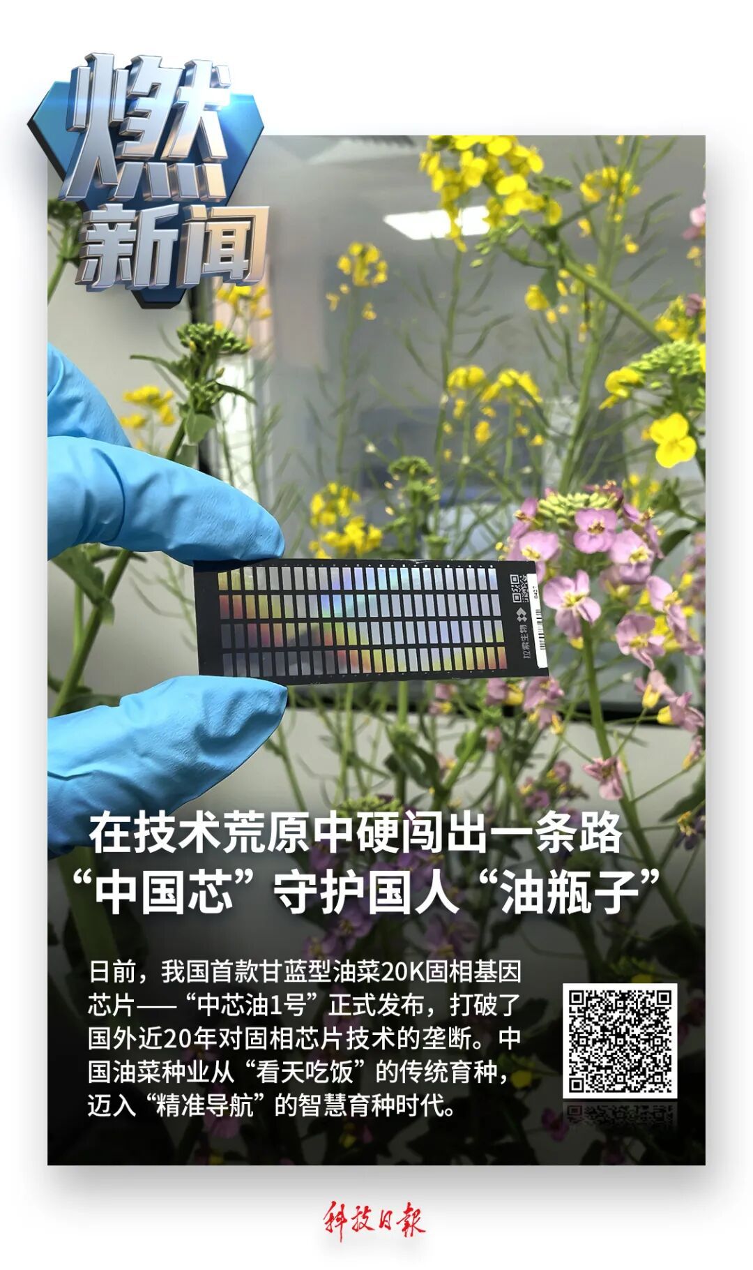 我国首款,打破国外近20年垄断!“中国芯”闯出自己的路 我国首款,打破国外近20年垄断!“中国芯”闯出自己的路